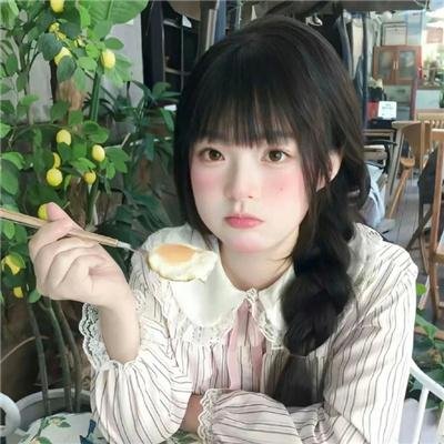 菊石